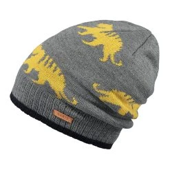 Barts Thorn Beanie Donkergrijs 53_55